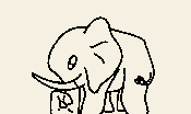 Elefante