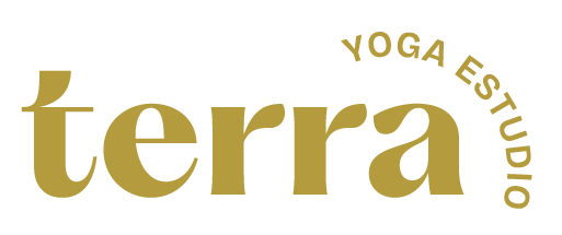 Logo Terra